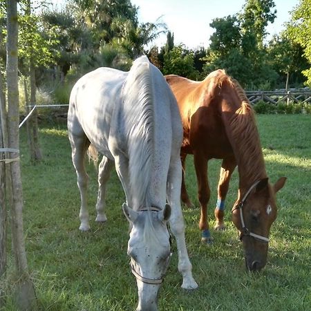 Tenuta Le Pantanelle Villa Sezze Esterno foto