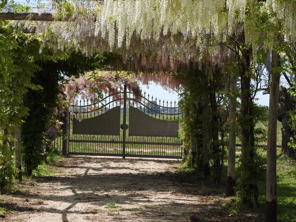 Tenuta Le Pantanelle Villa Sezze Esterno foto
