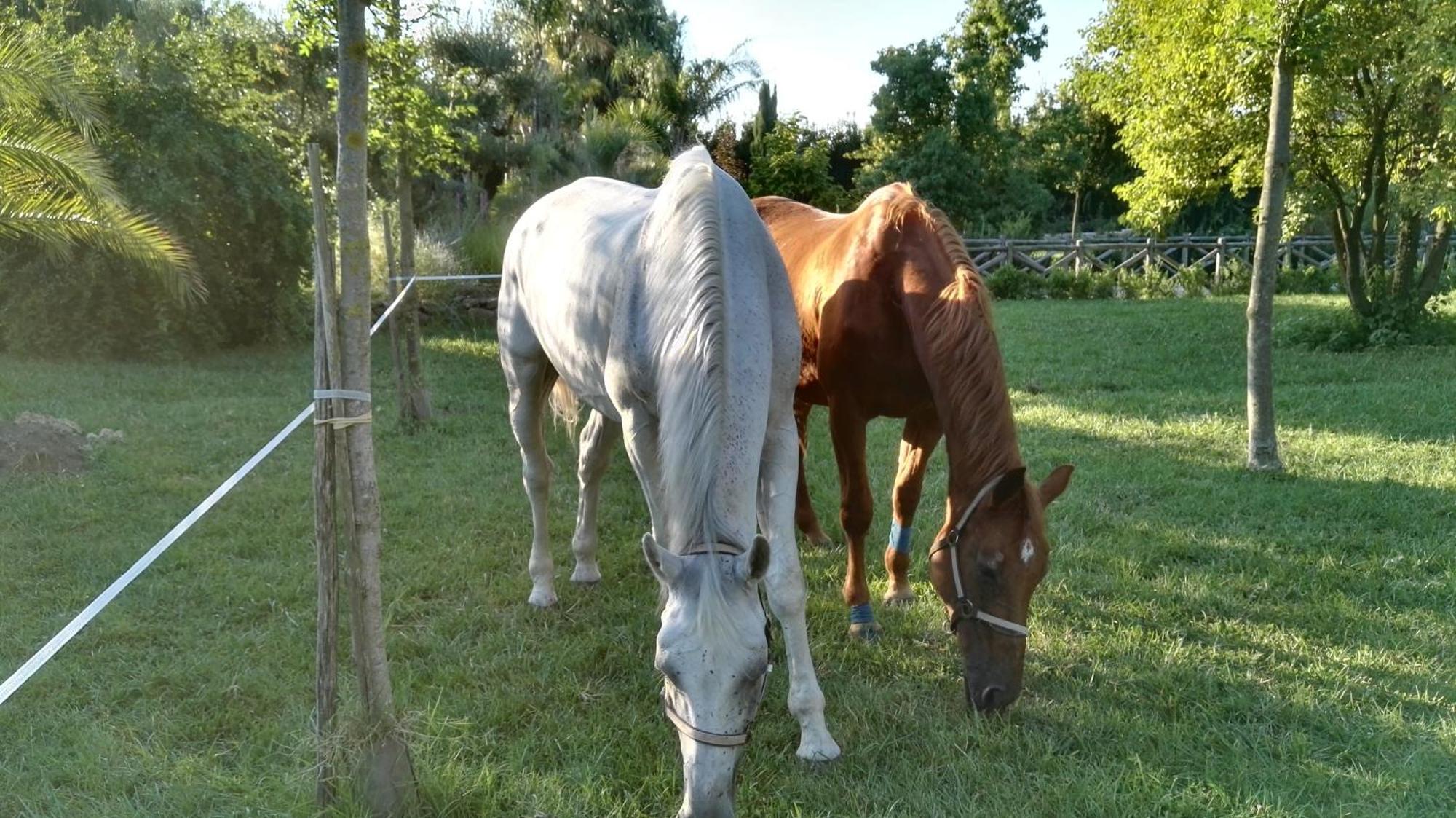 Tenuta Le Pantanelle Villa Sezze Esterno foto